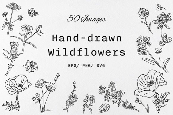 Hand Drawn WildFlowers Clipart